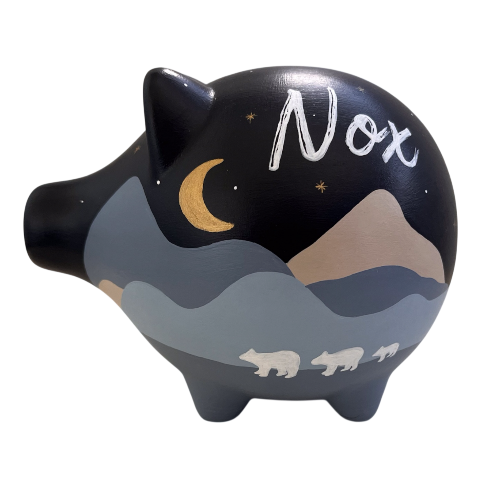 Spaarvarken met nachtlandschap, sterren, maan en ijsberen, naam Nox.